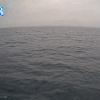 PortSheldonAug162025_15hh03mm01ss
