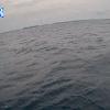 PortSheldonAug162025_20hh03mm01ss