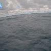 PortSheldonAug242025_14hh03mm00ss