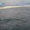 PortSheldonAug242025_20hh03mm00ss