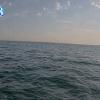 PortSheldonMay102025_ 9hh03mm00ss