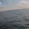 PortSheldonMay102025_10hh03mm01ss