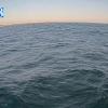 PortSheldonMay102025_20hh03mm01ss