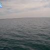 PortSheldonMay122025_14hh03mm00ss