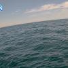 PortSheldonMay162025_14hh03mm00ss