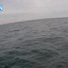 PortSheldonMay192025_20hh03mm00ss