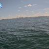 PortSheldonMay262025_13hh03mm01ss