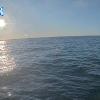 PortSheldonOct202025_ 9hh03mm01ss