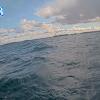 PortSheldonOct232025_10hh03mm01ss