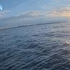PortSheldonOct312025_ 9hh03mm01ss