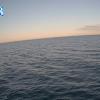 PortSheldonSep012025_ 8hh03mm00ss