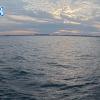 PortSheldonSep102025_ 8hh03mm01ss