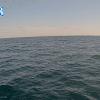 PortSheldonSep102025_ 9hh03mm00ss