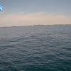 PortSheldonSep102025_17hh03mm00ss