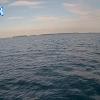 PortSheldonSep102025_18hh03mm01ss