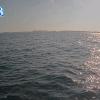 PortSheldonSep122025_10hh03mm00ss