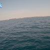 PortSheldonSep162025_16hh03mm00ss