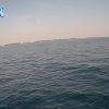 PortSheldonSep162025_18hh03mm01ss