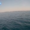PortSheldonSep182025_16hh03mm01ss