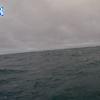 PortSheldonJun182026_ 8hh03mm01ss