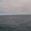 PortSheldonJun182026_11hh03mm00ss