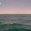 PortSheldonJun182026_15hh03mm00ss