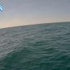 PortSheldonJun182026_17hh03mm00ss