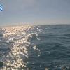 PortSheldonJun182026_18hh03mm00ss