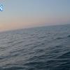 PortSheldonJul212025_ 7hh03mm01ss