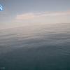 PortSheldonJun242025_ 9hh03mm00ss