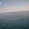 PortSheldonJun242025_10hh03mm01ss