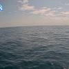 PortSheldonJun242025_17hh03mm00ss