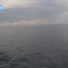 PortSheldonJun242025_20hh03mm00ss