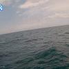 PortSheldonJun272025_13hh03mm01ss