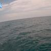PortSheldonJun272025_14hh03mm01ss