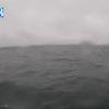 PortSheldonMay212025_11hh03mm01ss