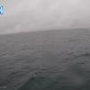 PortSheldonMay212025_18hh03mm00ss