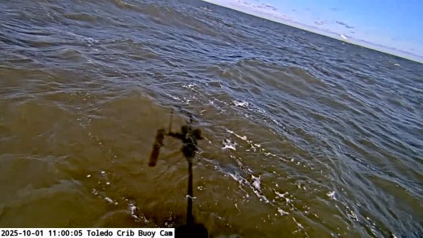ToledoOct012025_11hh06mm01ss