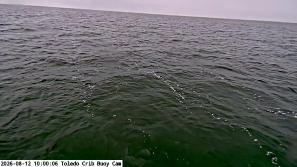 ToledoAug122026_10hh06mm01ss