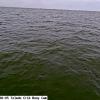 ToledoAug292026_16hh06mm01ss