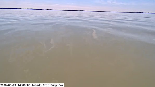 ToledoMay292026_14hh06mm00ss