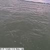 ToledoOct152025_10hh06mm01ss