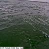 ToledoOct152025_11hh06mm01ss