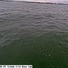 ToledoOct152025_12hh06mm01ss