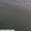 ToledoOct222025_13hh06mm01ss