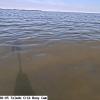 ToledoMay292026_ 8hh06mm00ss
