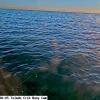 ToledoOct062026_ 8hh06mm01ss