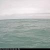 WaukeganOct192025_15hh05mm01ss