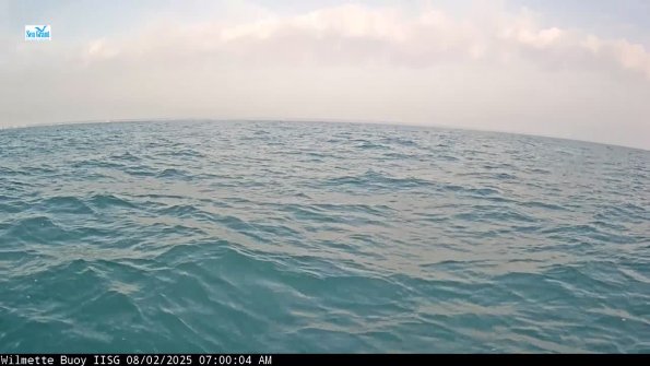 WilmetteAug022025_ 8hh05mm01ss