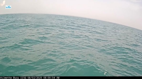 WilmetteAug022025_ 9hh05mm01ss